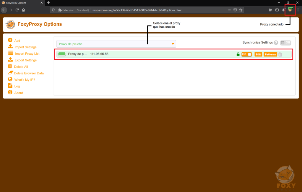 foxy proxy activado