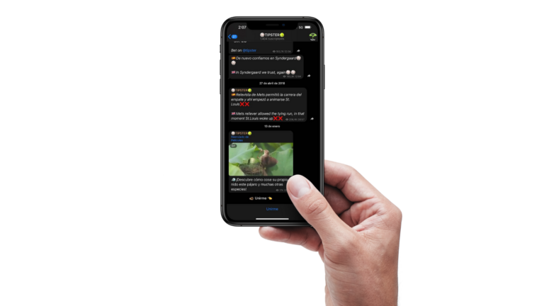 The best tipster? A robot 3 el-mejor-tipster